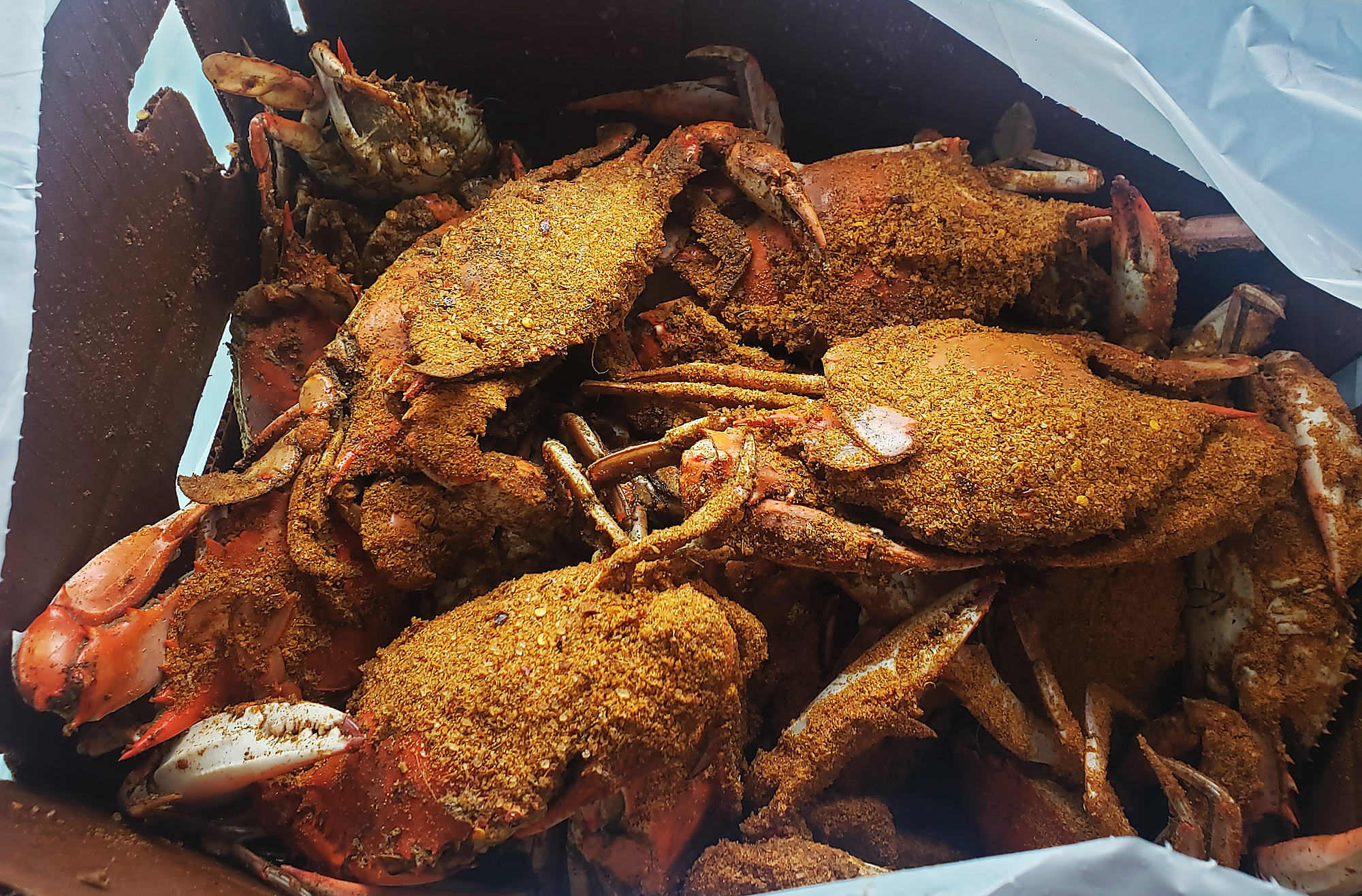 Steamed crabs, heavy with seasoning, in a carry-out box
